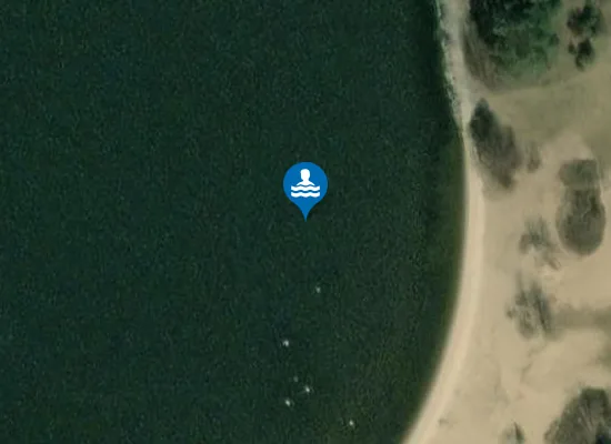 Satellite image of Kąpielisko na sztucznym zbiorniku rzeki Pilicy