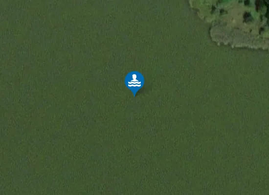 Satellite image of CZAPIELÓWKA