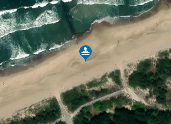 Satellite image of MIELNO 219