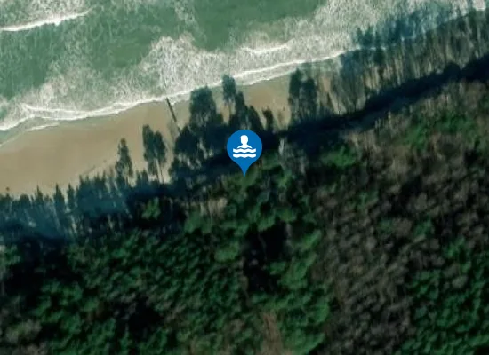 Satellite image of PRZEWŁOKA