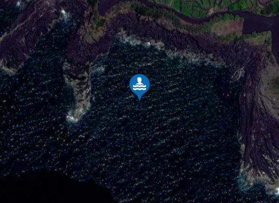 Satellite image of PONTES