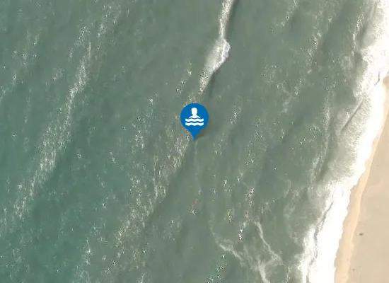 Satellite image of PALHEIRÃO