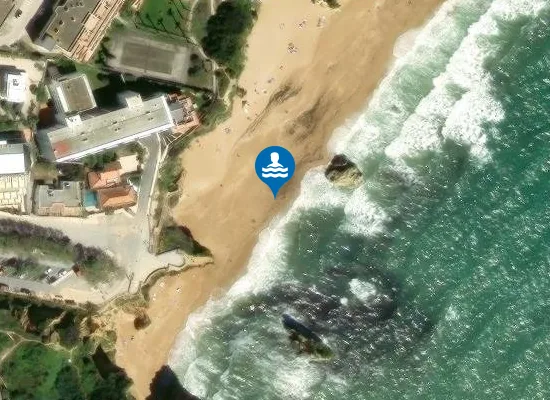 Satellite image of D. ANA