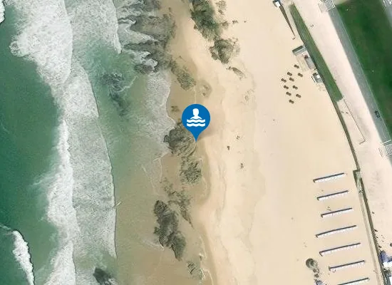 Satellite image of LEÇA DA PALMEIRA