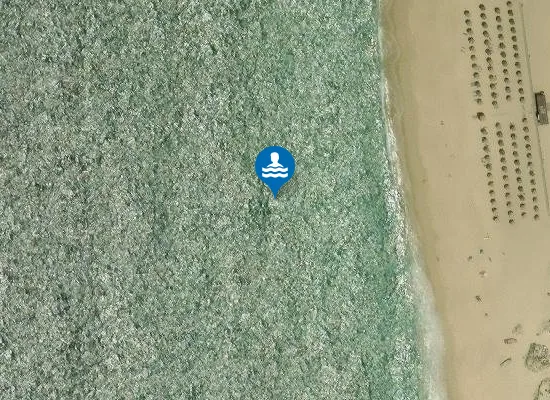 Satellite image of CARVALHAL