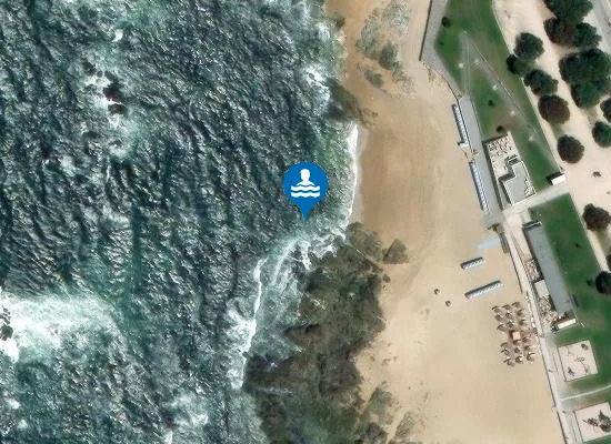 Satellite image of HOMEM DO LEME