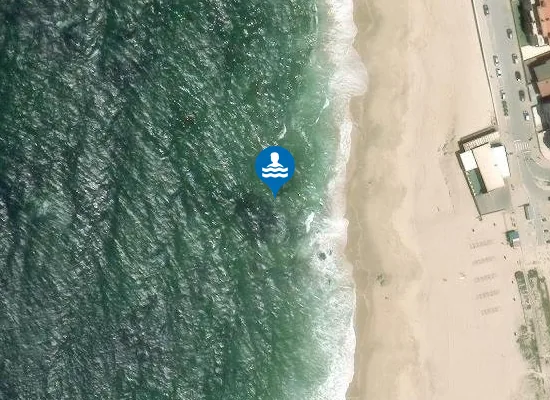 Satellite image of ÁRVORE