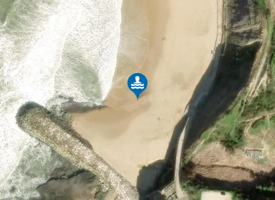 Satellite image of BALEIA OU DO SUL