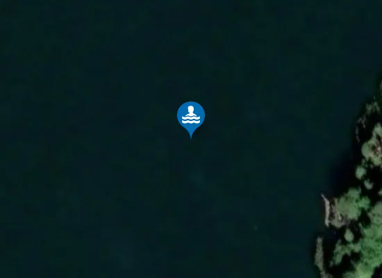 Satellite image of HAMNVIKEN