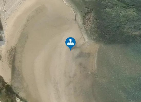 Satellite view of Tynemouth Cullercoats