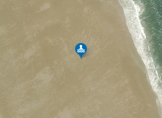 Satellite view of South Shields