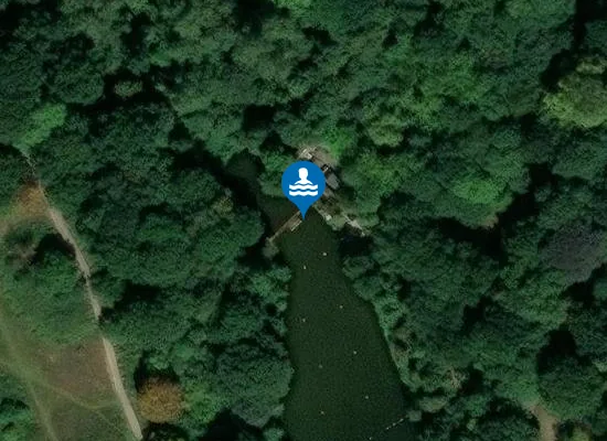 Satellite view of Hampstead Heath (Mixed Pond)
