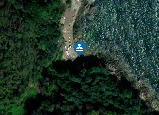 Satellite view of Anstey's Cove (Torquay)