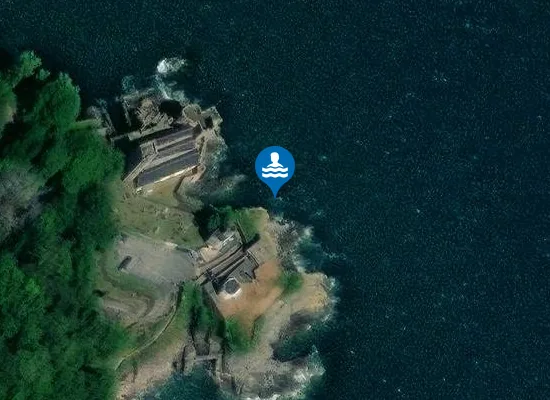 Satellite view of Dartmouth Castle Cove