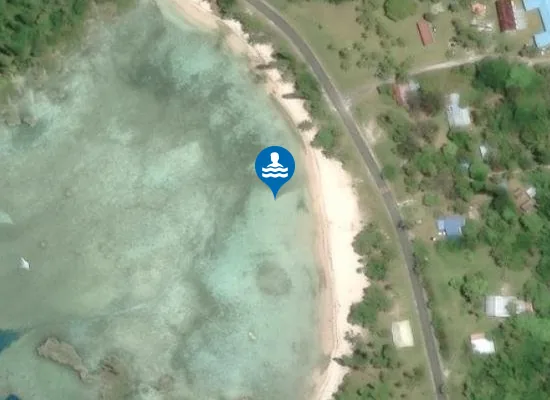 Satellite view of Plage aux tortues