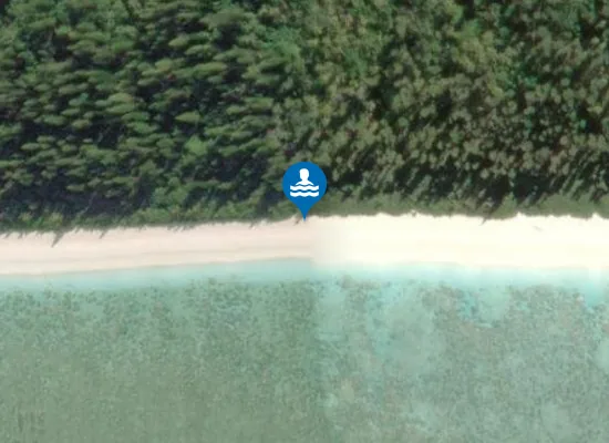 Satellite image of Plage de Shini