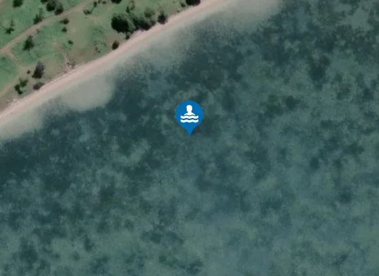 Satellite image of Plage de Ouano Sud