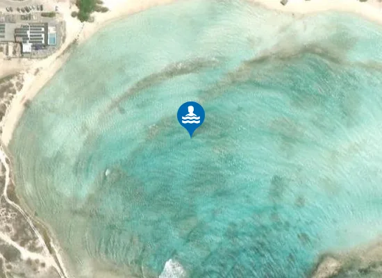 Satellite view of Baby Beach