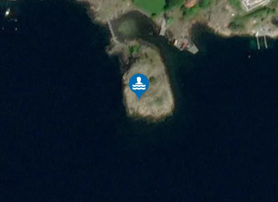 Satellite image of Paulus holme