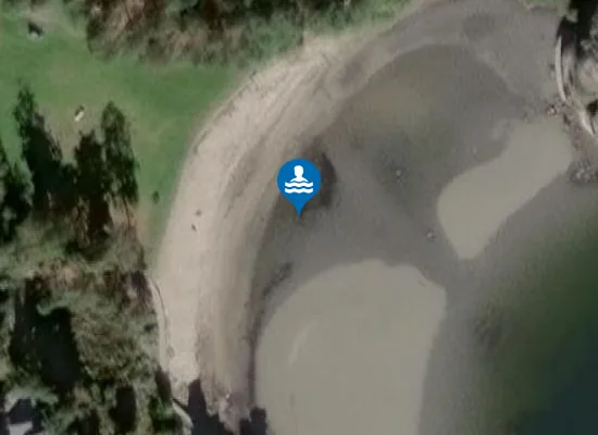 Satellite image of Skjellvika