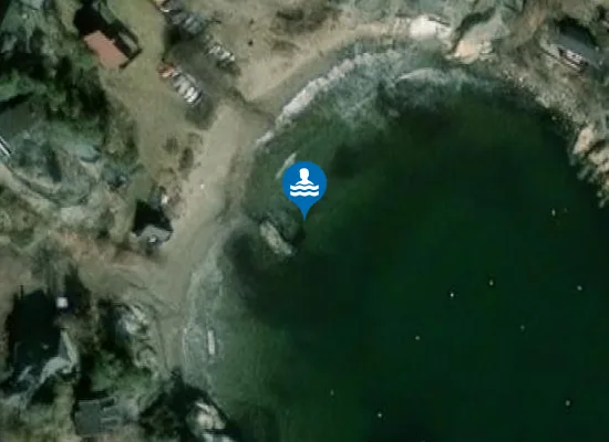 Satellite image of Svinevika