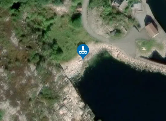 Satellite image of Amaliesvik