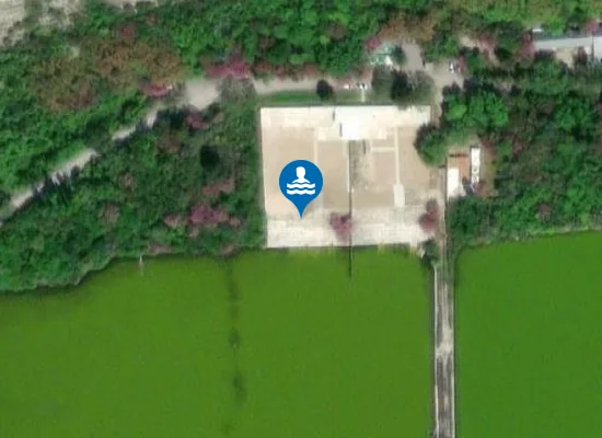 Satellite image of Women