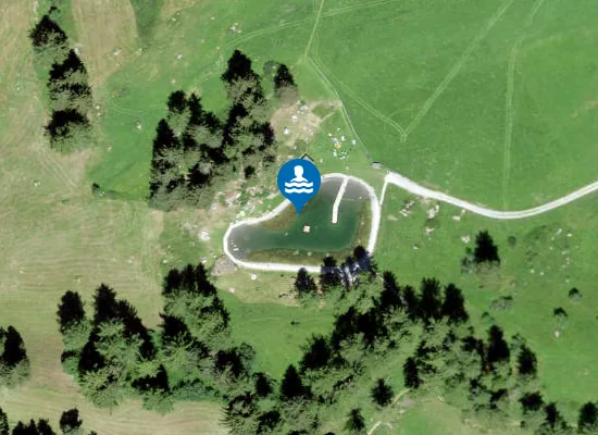 Satellite image of Lai da Padnal
