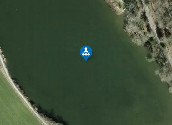 Satellite image of Horgenbergweiher