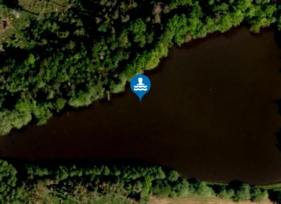 Satellite image of Badeweiher Herrenweiher Tanzenhaid