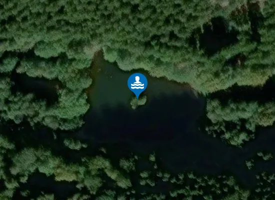 Satellite image of Holzerather See