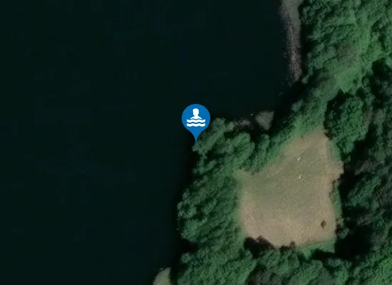 Satellite image of Schwimmen