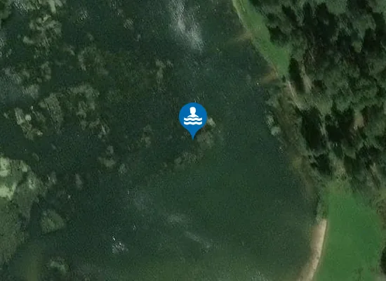 Satellite image of Waldbad "Großer Teich"