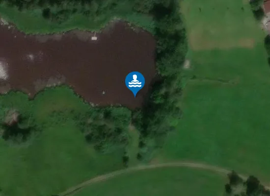Satellite image of Badestelle Buchweiher