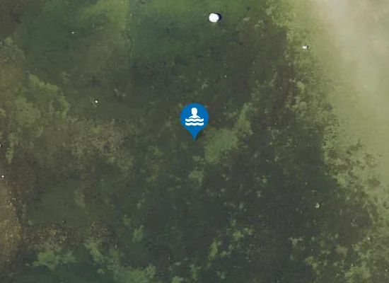 Satellite image of Varbla ujumiskoht