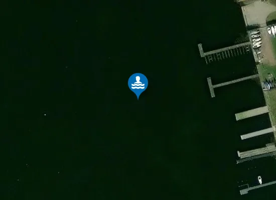 Satellite image of SALZGITTERSEE