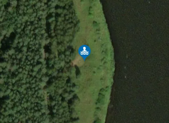 Satellite image of Alytaus nudistų paplūdimys