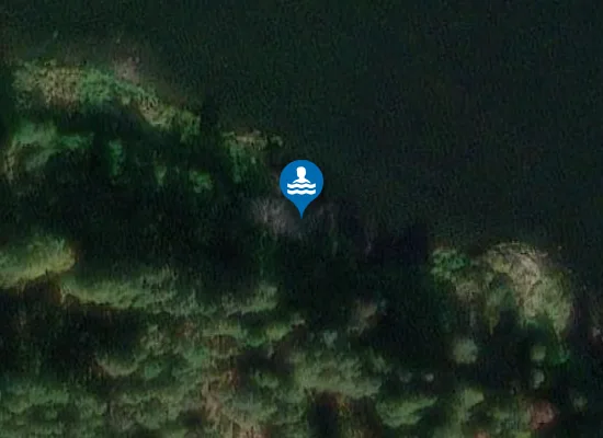 Satellite image of Zelta pludmale