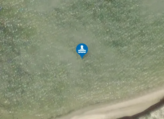 Satellite image of Metskonna ujumiskoht
