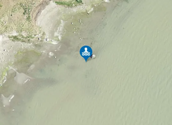 Satellite image of Lalli ujumiskoht