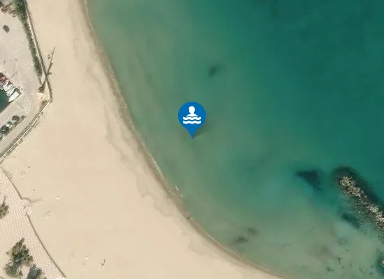 Satellite image of Platja Pau Pi
