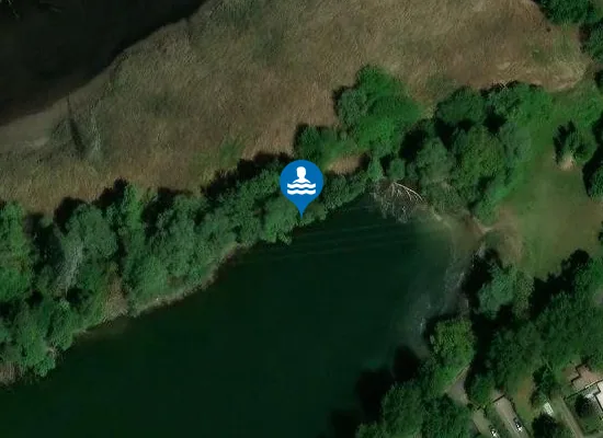 Satellite image of NEUHOFENER ALTRHEIN