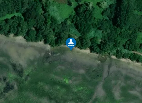 Satellite image of Praia da Salgueiriña