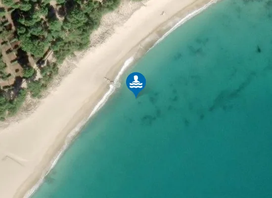 Satellite image of El Cap de l'Home