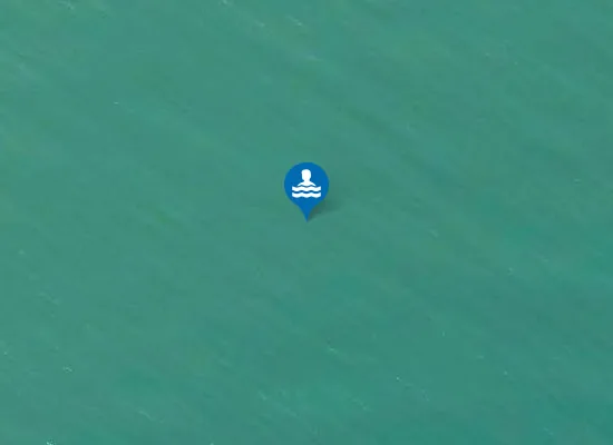 Satellite image of Platja de Ponent