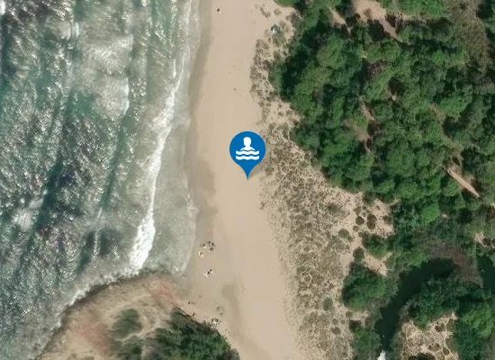 Satellite image of Platja des Bot