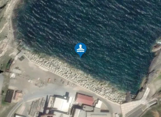 Satellite image of Playa de El Dólar