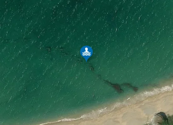 Satellite image of Praia do Sarridal