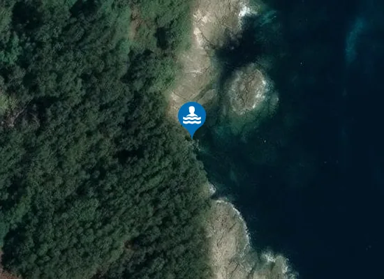 Satellite image of Area das Margaridas