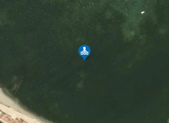 Satellite image of Playa de Los Nietos